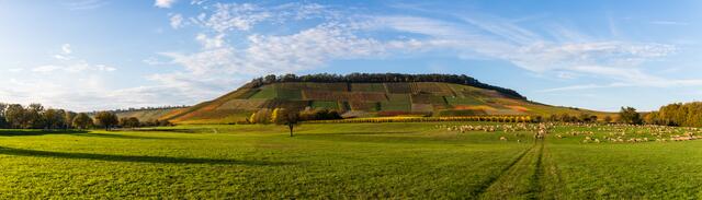 Hörnle bei Dürrenzimmern in Herbstfarben