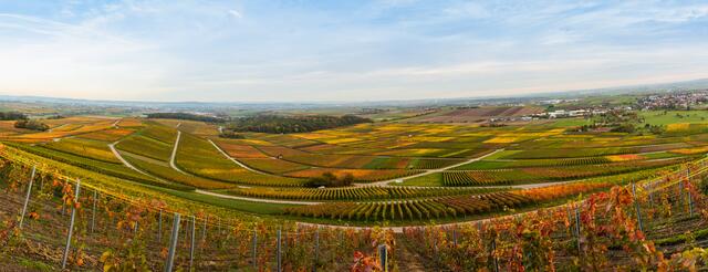 Blick vom Hörnle im Herbst