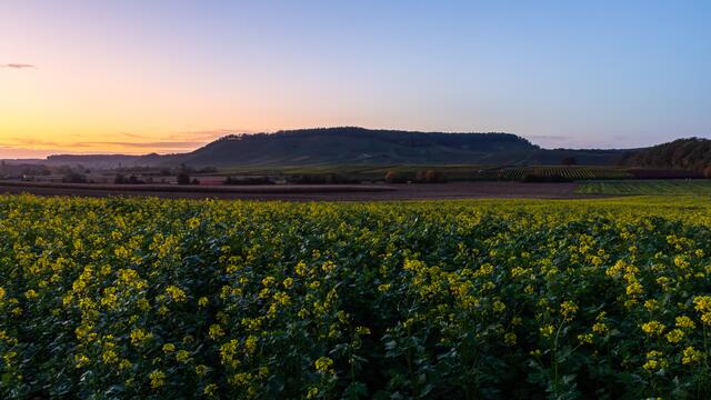 Das Hörnle bei Dürrenzimmern