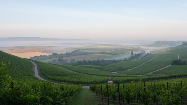 Blick vom Hörnle Richtung Stockheim