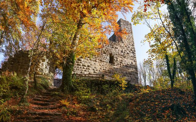 Burg Blankenhorn im Herbst