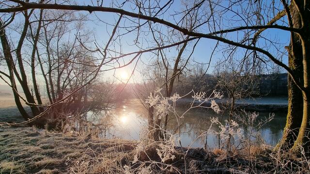 An der Jagst bei Schöntal am frostigen 12.Februar 2022