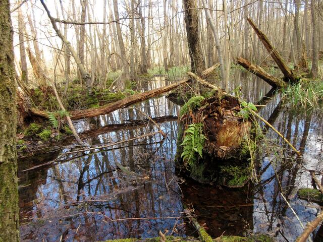 Immer wieder schön, der Tenor in der Gruppe: "Wie in einer anderen Welt"