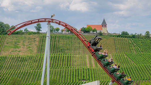 Mit Volldampf Blick auf den Michaelsberg..