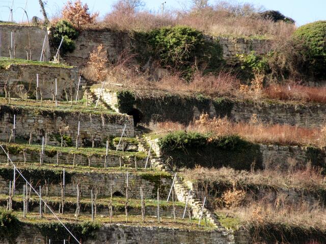2020 am 24. Juli war ein Bericht in der Heilbronner Stimme über die Höhlen in den Weinbergen und dass Lauffener die letzten Kriegstage in diesen Höhlen verbracht hatten.