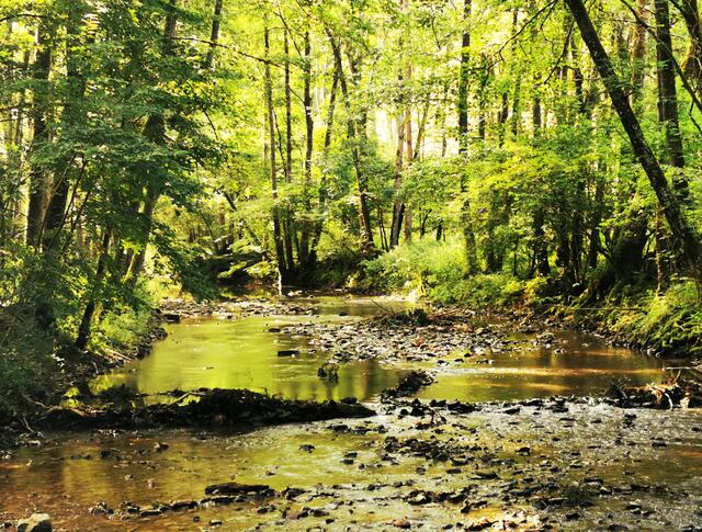 Wanderung durchs Gronachtal. Goldener Morgen an Fluss.
