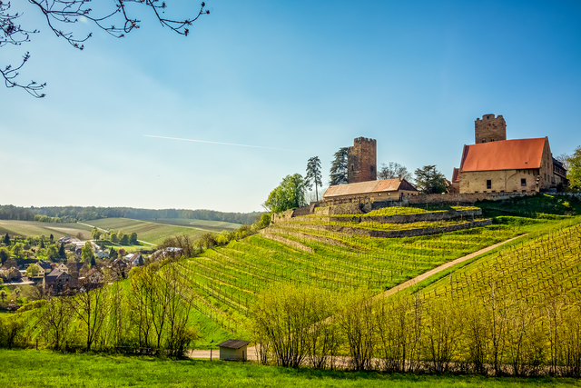 Burg Neipperg