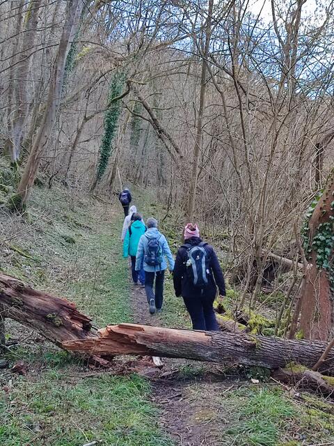 Östlich vom Bahngleis ist der Weg in der Neckarschlinge für die lang anhaltenden Regenfälle noch wirklich gut. Die andere Seite wollte die Gruppe heute nicht gehen. | Foto: Aurelia Kling