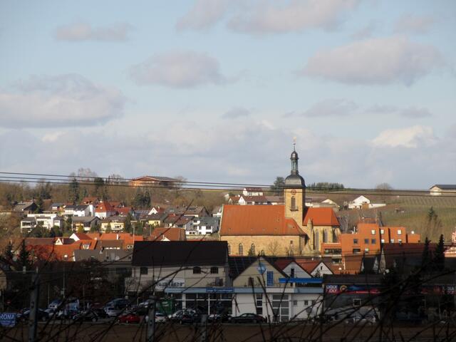 Blick vom Forchenwald hinüber zur Regiswindiskirche.