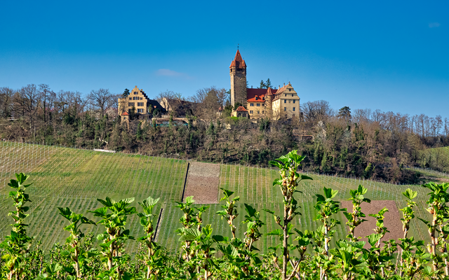 Schloss Stocksberg Stockheim..