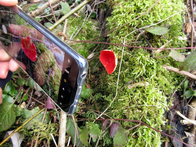 Ein begehrtes Fotomotiv