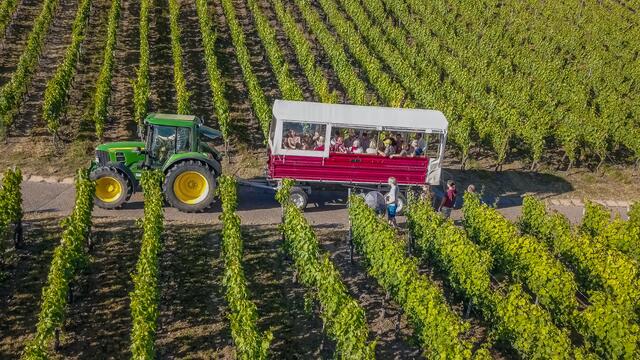 Mit dem Planwagen unterwegs...