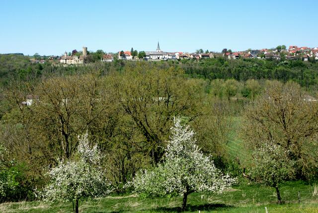 Krautheim im Frühling