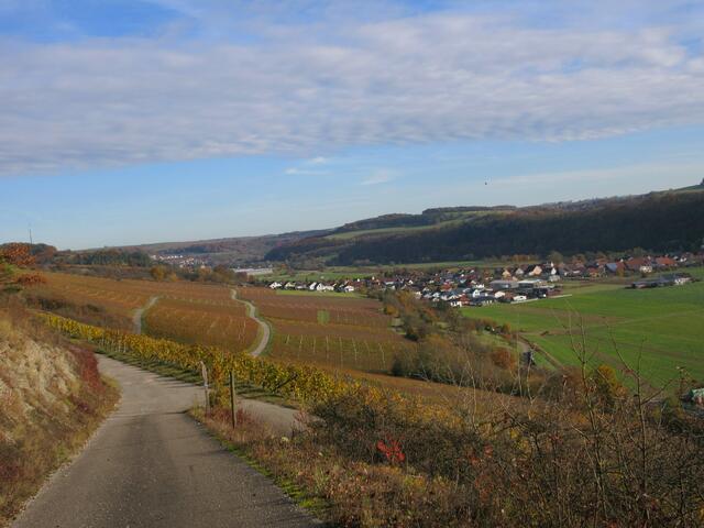Wein im Jagsttal Klepsau