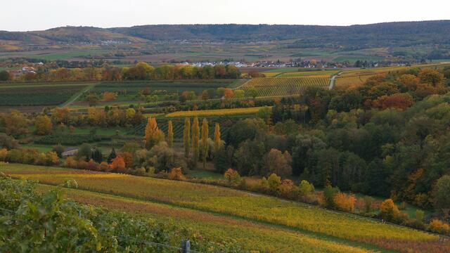 Stockheimer Weinberge im Herbst