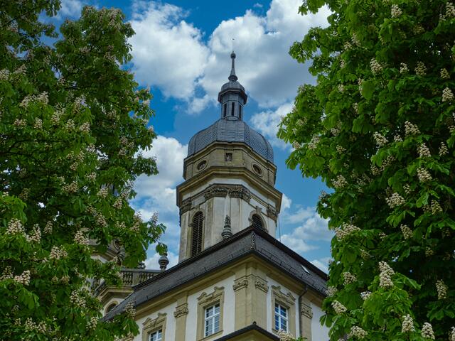 Kastanienblüte Kloster Schöntal