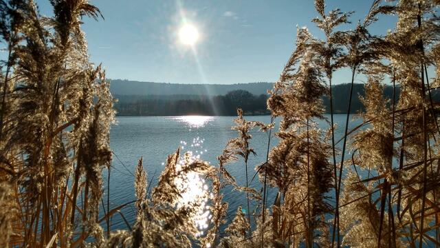 Ehemtsklinge Zaberfeld