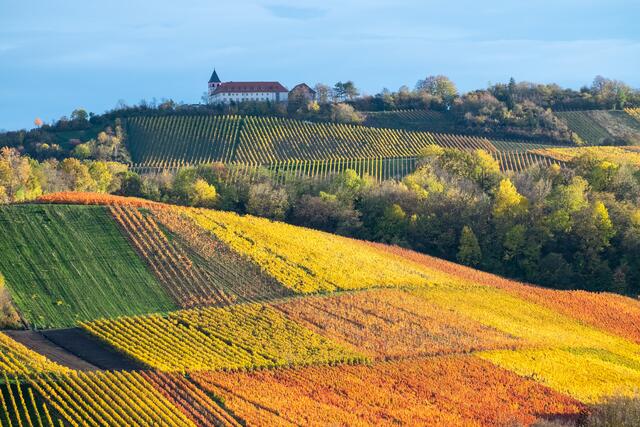 Herbst am Michaelsberg