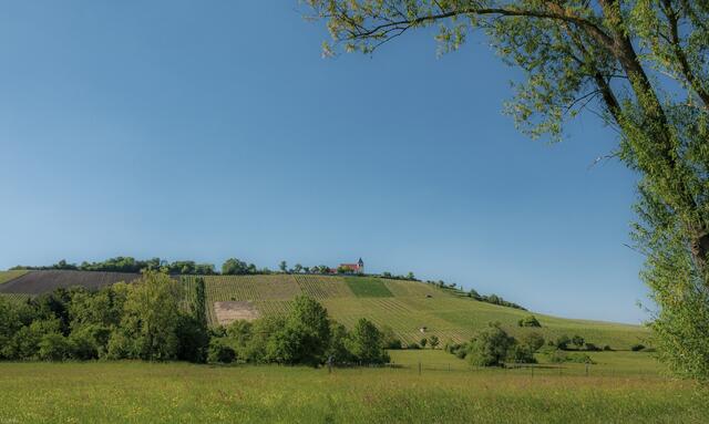 Blick auf den Michaelsberg..