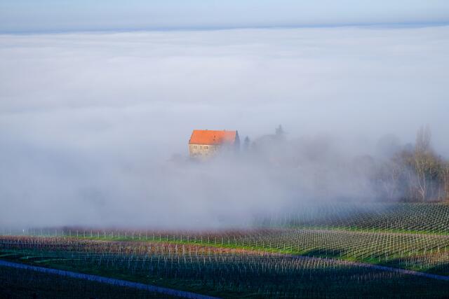 Schlossgut Neumagenheim im Nebel