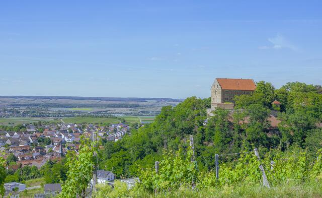 Schloss Magenheim in Cleebronn..