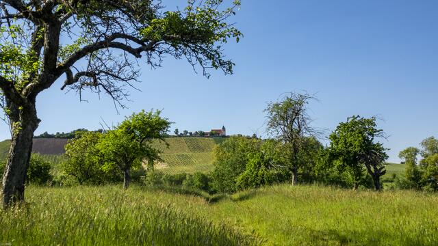 Blick auf den Michaelsberg..