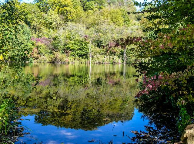 Katzenbachsee im Herbst