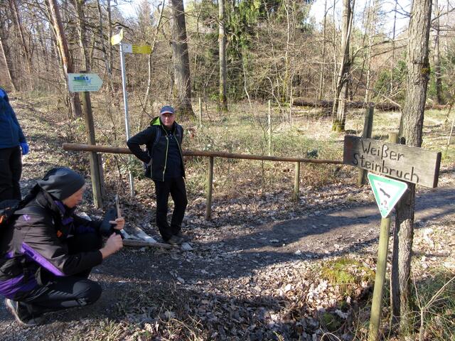 Auf dem Mittleren Rennweg ging es durch den Stromberg bis zum Weißen Steinbruch