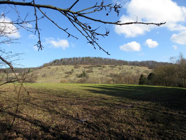 Blick zum Naturschutzgebiet