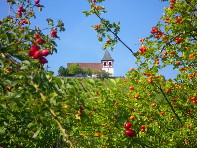 Michaelsberg im September mit Hagebutten