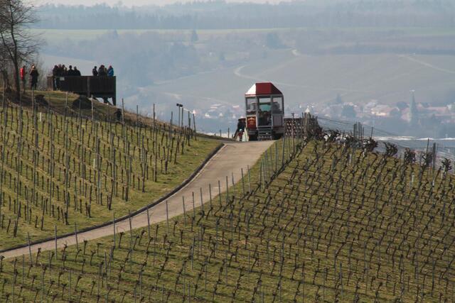 Ausblick auf das Zabergäu mit Weinprobe