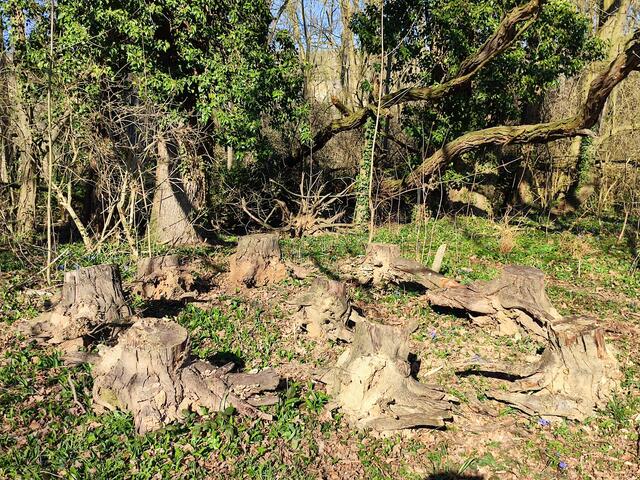 Auch eine außergewöhnliche Sitzgruppe konnte Aurelia einfangen | Foto: Aurelia Kling