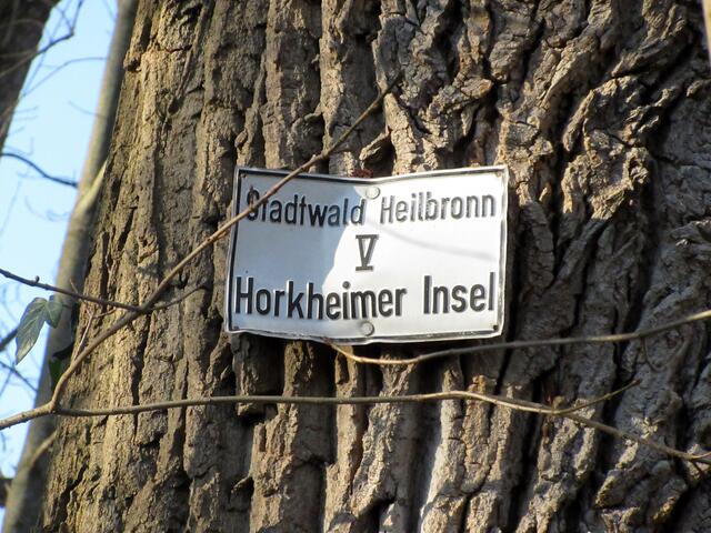 Der Beweis, wir waren im Heilbronner Stadtwald unterwegs.