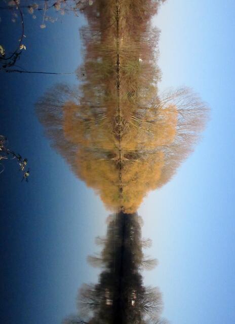 Mal ein wenig mit dem Foto gespielt