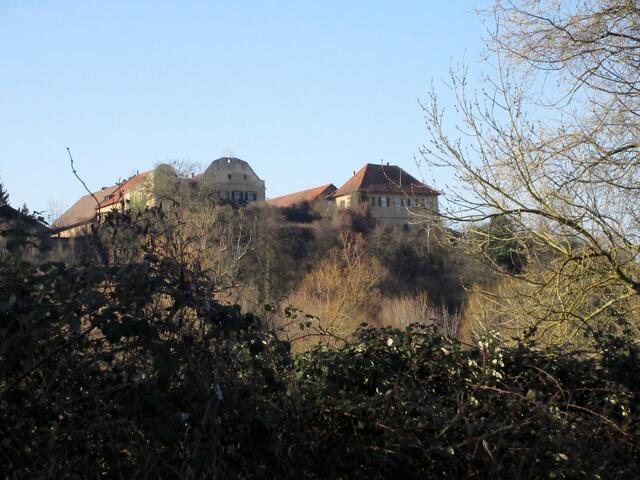 Unterwegs ein versteckter Ausblick zum Klingenberger Schloss