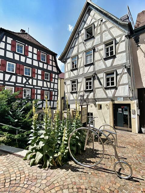 Verwinkelte Gassen und viel Fachwerk | Historische Altstadt Möckmühl
