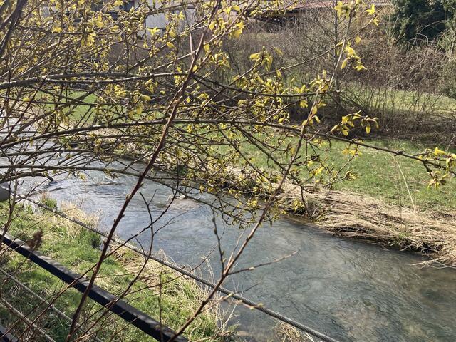 Im Sommer ist die Aussicht und das Plätschern der "Schefflenz" wunderschön... zu dieser Jahreszeit leider noch etwas kahl. | Foto: Tina Wünsche