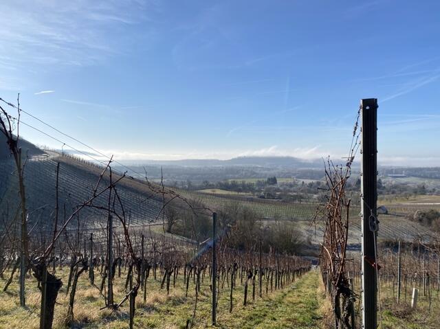 In der Nähe von Diefenbach