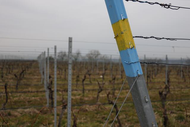 Weinberg