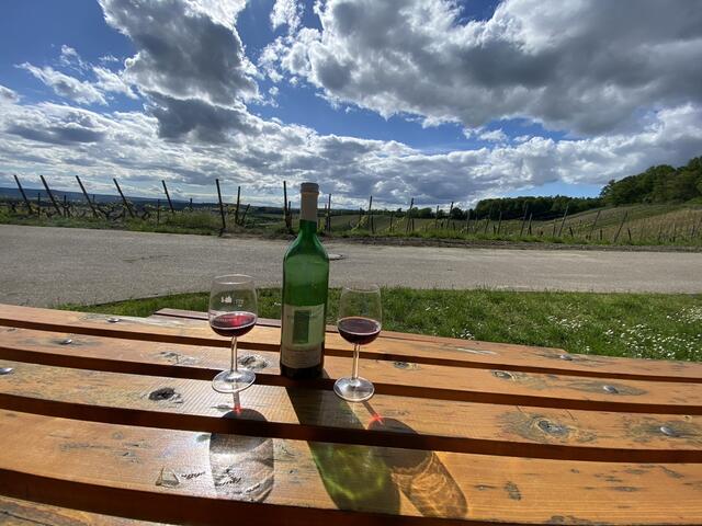 Unterhalb der Waldschänke Hörnle Richtung am Rastplatz