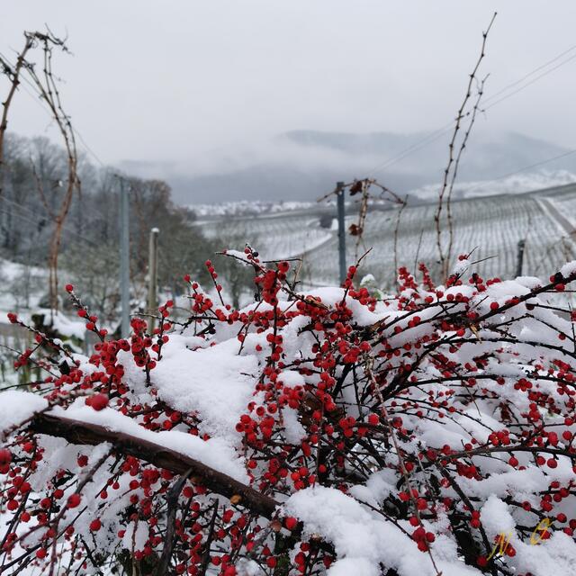Hohenhaslach, Weitblickweg