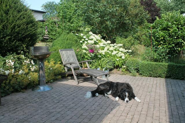 Hundeleben: Während der Liegestuhl leer bleibt, hat Simba sein Ruheplätzchen auf der Terrasse gefunden. | Foto: Marita Käckenmeister