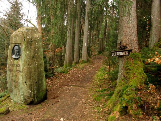 Auf dem Beerenweg zum Kurpark. Hier reiht sich eine Sehenswürdigkeit an die andere. Mooshütte, Jahrhunderstein und vieles mehr.