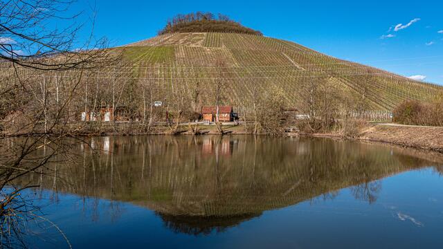Mönchsbergsee unterm Hörnle (bei Dürrenzimmern)