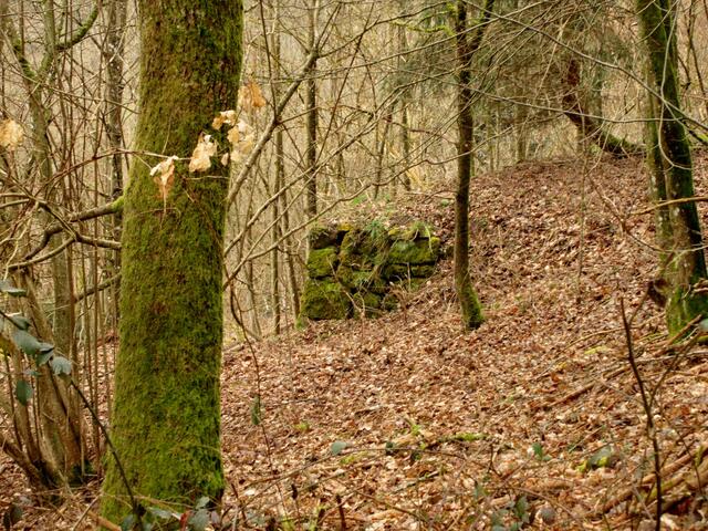 An ein paar Steinen ist die abgegangene Ruine noch zu erkennen.