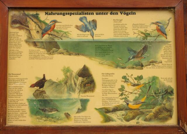 Auf dem Naturlehrpfad kann man auch noch was dazu lernen.