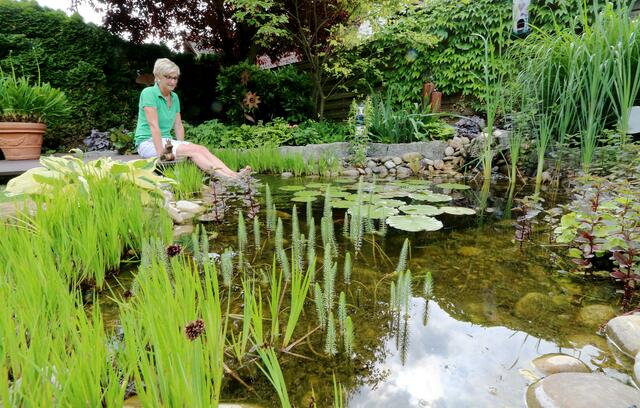 Selbst in einem relativ kleinen Garten ist Platz für einen hübschen Teich mit Wasserpflanzen wie Seerosen oder  Rohrkolben. | Foto: Guido Sawatzki