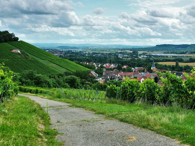 Blick auf Pfaffenhofen