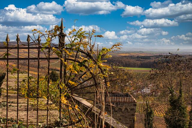 Blick ins Zabergäu vom Schloss Stocksberg