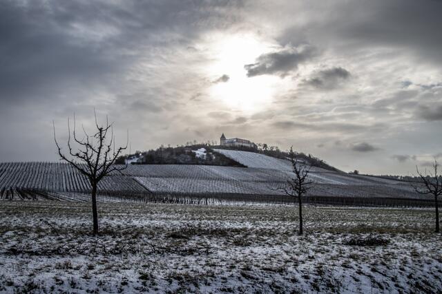 Winterlandschaft am Michaelsberg in Cleebronn